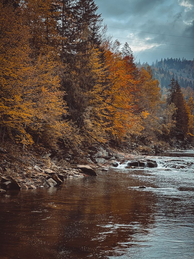 Photograph by Ольга Скиба