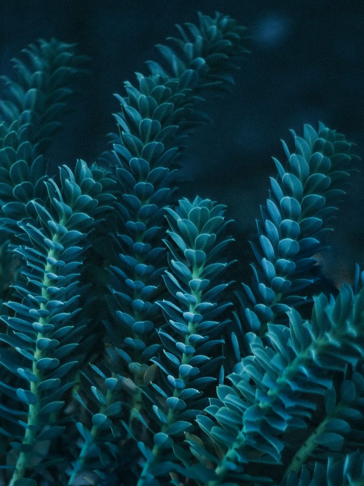 Photograph by Ксения Лаевская