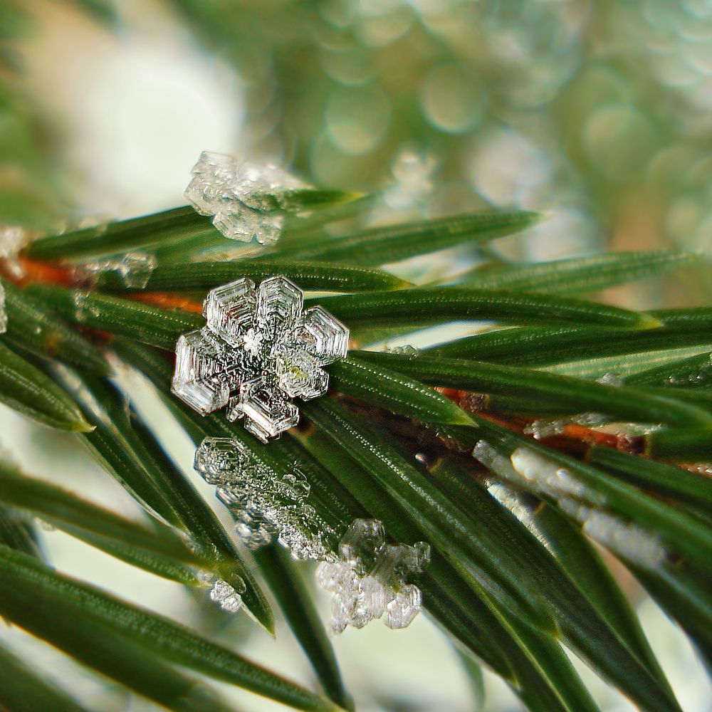 Photograph by Павел Колеснев