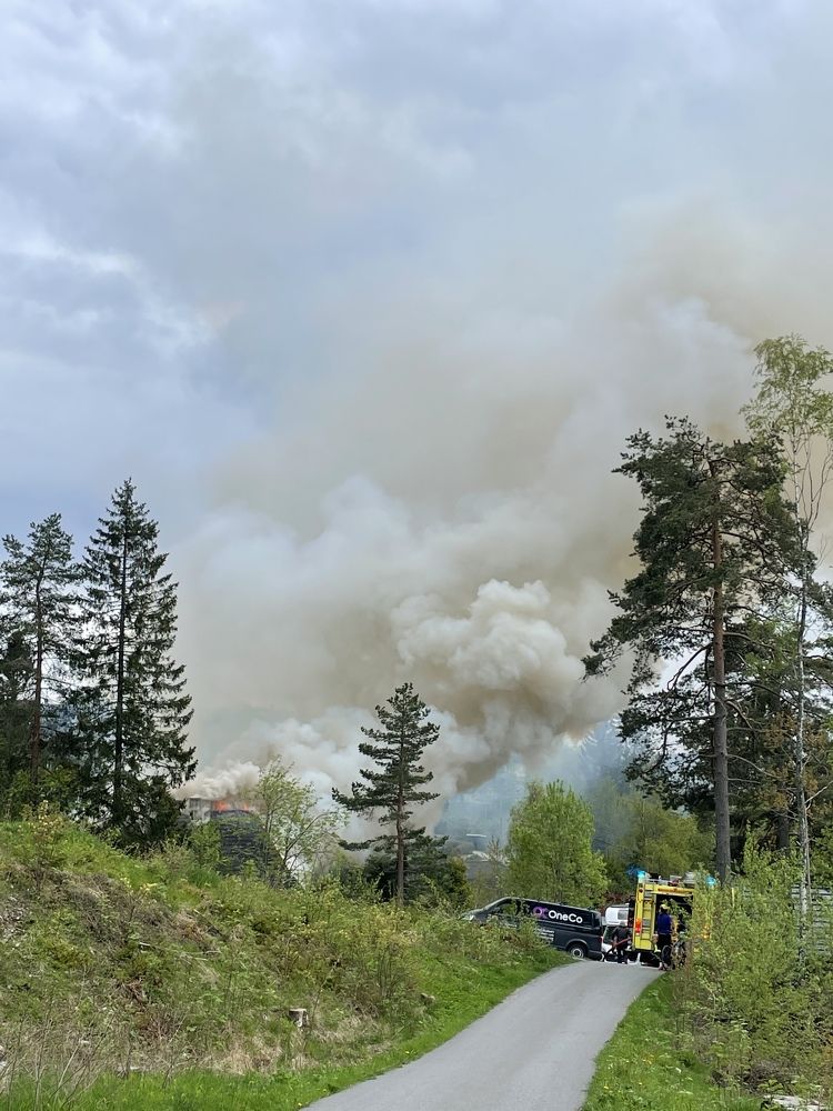 Фотография автора Anna NovaLova