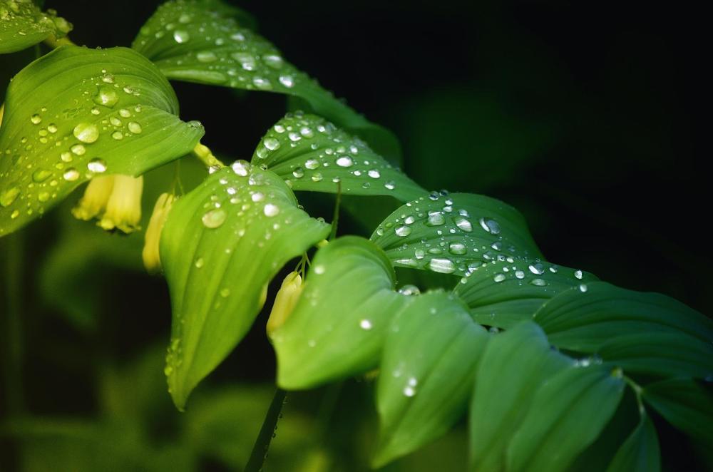 Photograph by Сергей Клапишевский