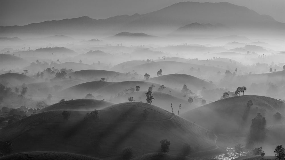 Фотография автора Đào Cảnh