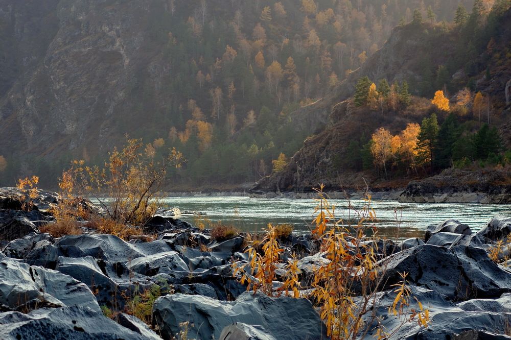 Photograph by Сергей Гребенников