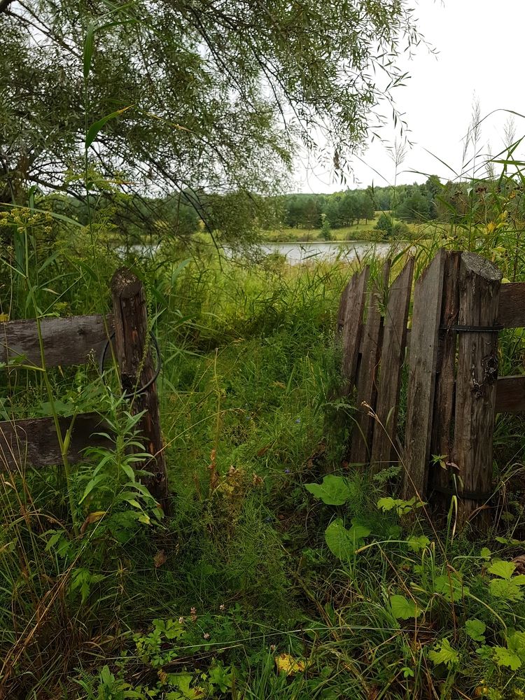 Photograph by Евгений Ижуков