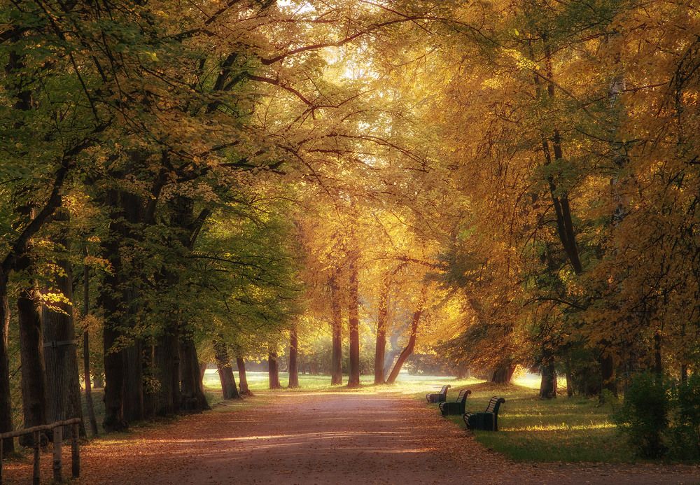 Photograph by Тамара Андреева