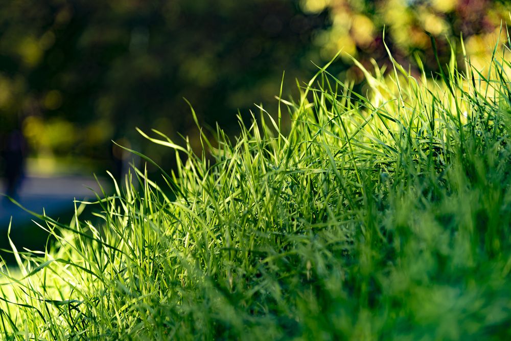 Photograph by Sysoev Konstantin