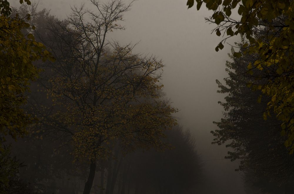 Photograph by Андрей Емельянов