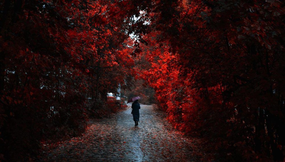 Photograph by Сергей Клапишевский