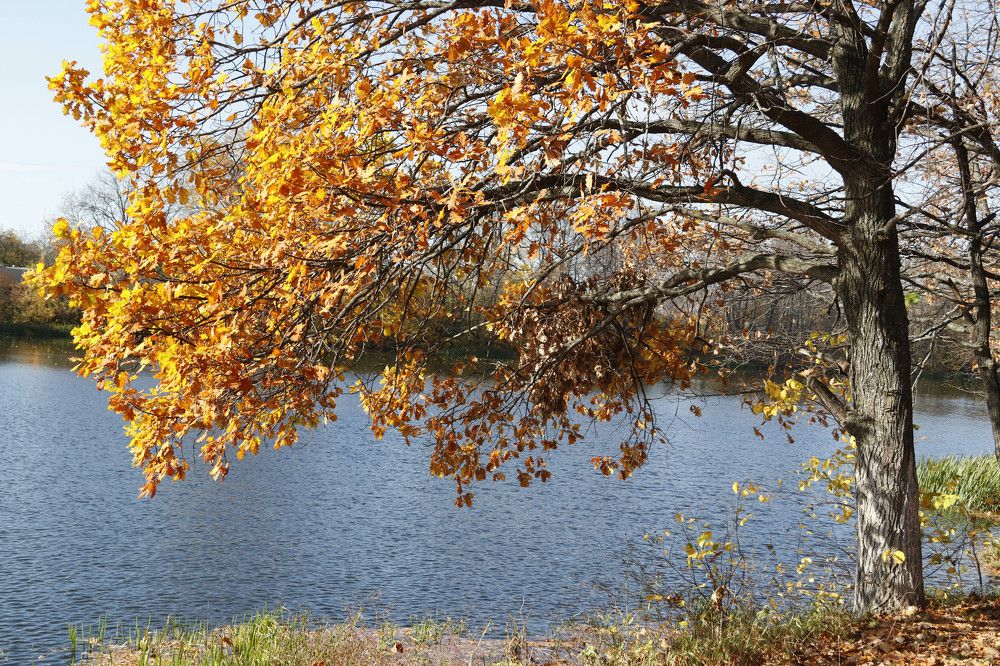 Photograph by Вера Почкалина