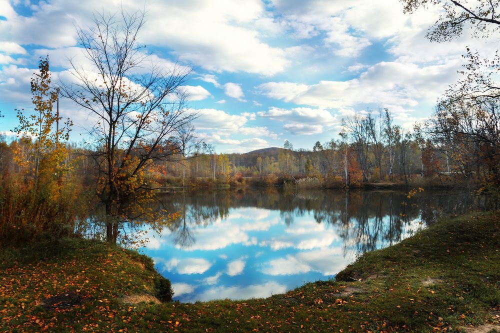 Photograph by Прохоров Денис