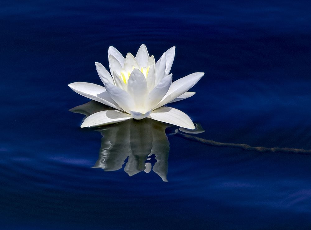 Photograph by Алексей Окунеев