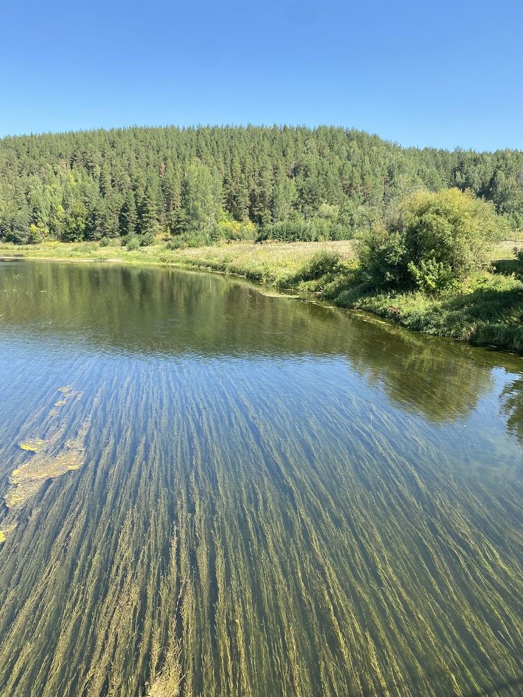 Photograph by Ольга Голубева