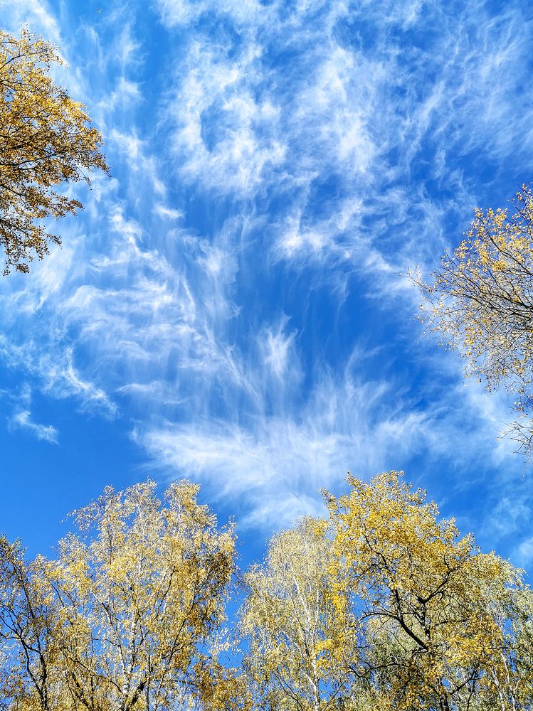 Photograph by Владимир Крылов