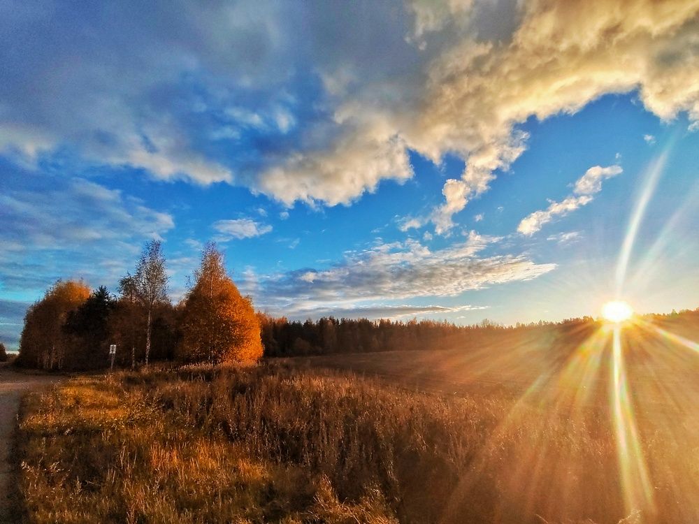 Photograph by Мария Тёмкина