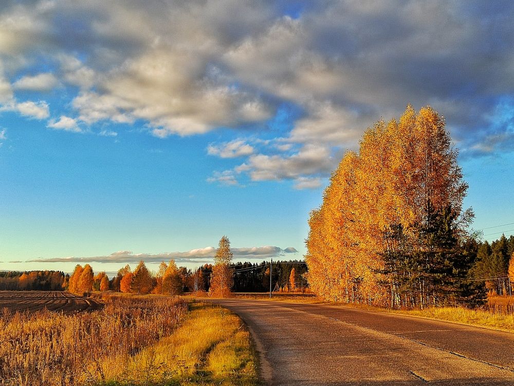 Photograph by Мария Тёмкина