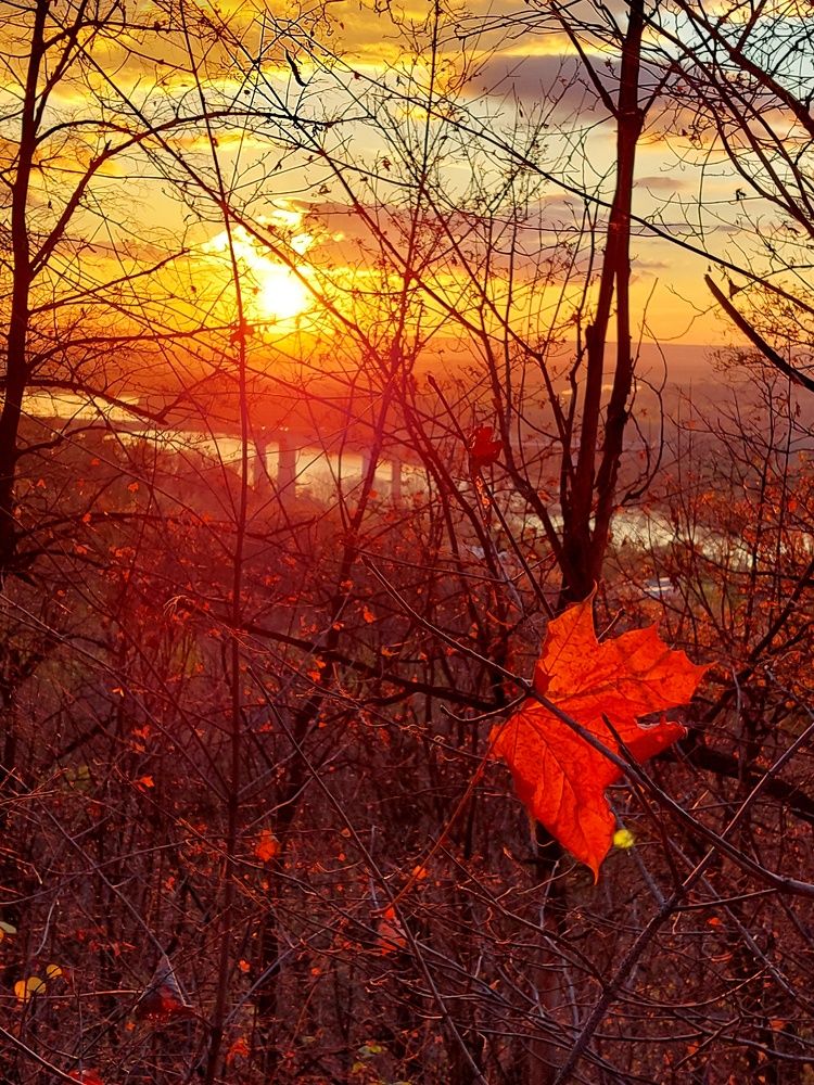 Photograph by Наталья Дубовкина