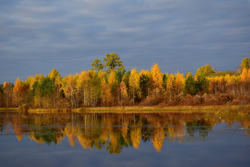 Фотография автора Оксана Льдинина