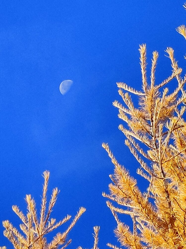 Photograph by Александр Кокурин