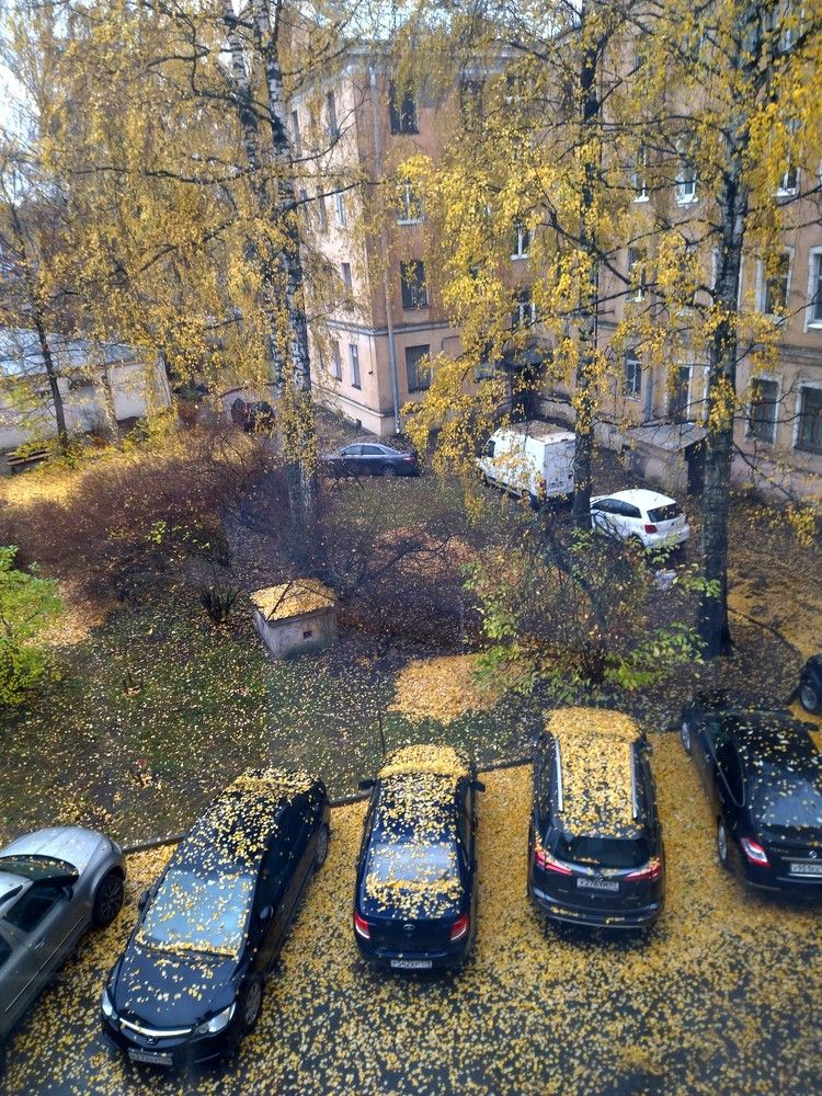 Photograph by Tatyana Semenova