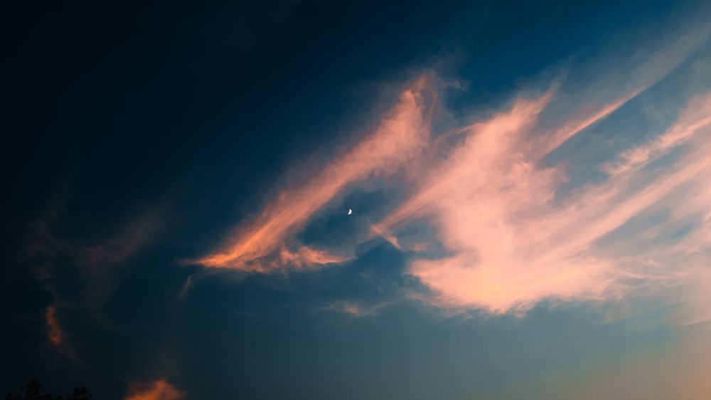 Photograph by Dhruv Mistry