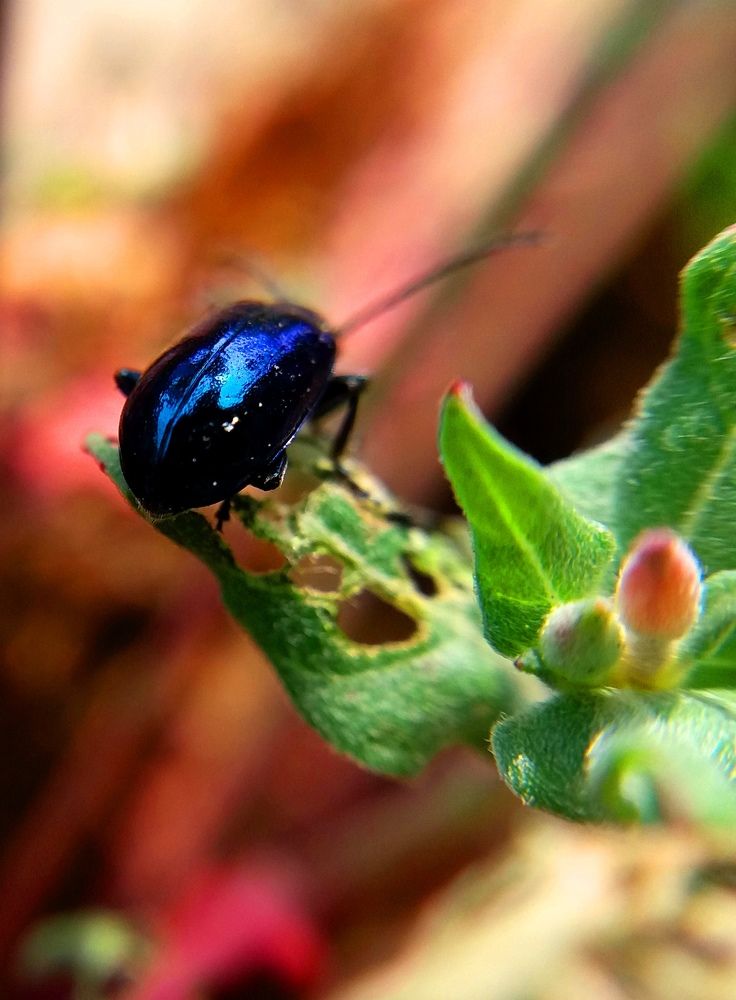 Photograph by Kapil Singh