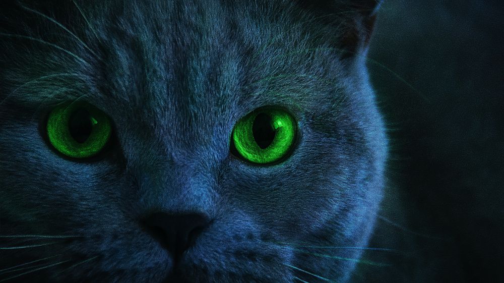 Photograph by Татьяна Колесникова