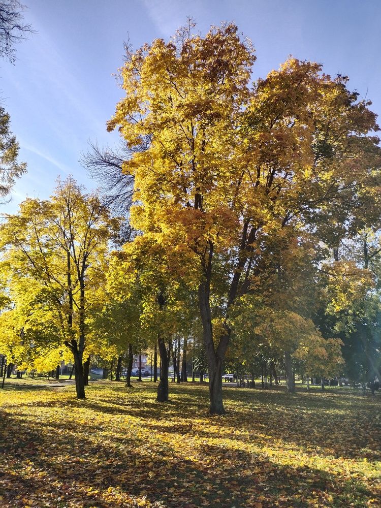 Photograph by Александр Витальевич