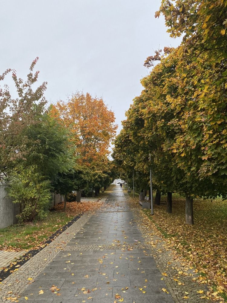 Photograph by Yana Ofitserova