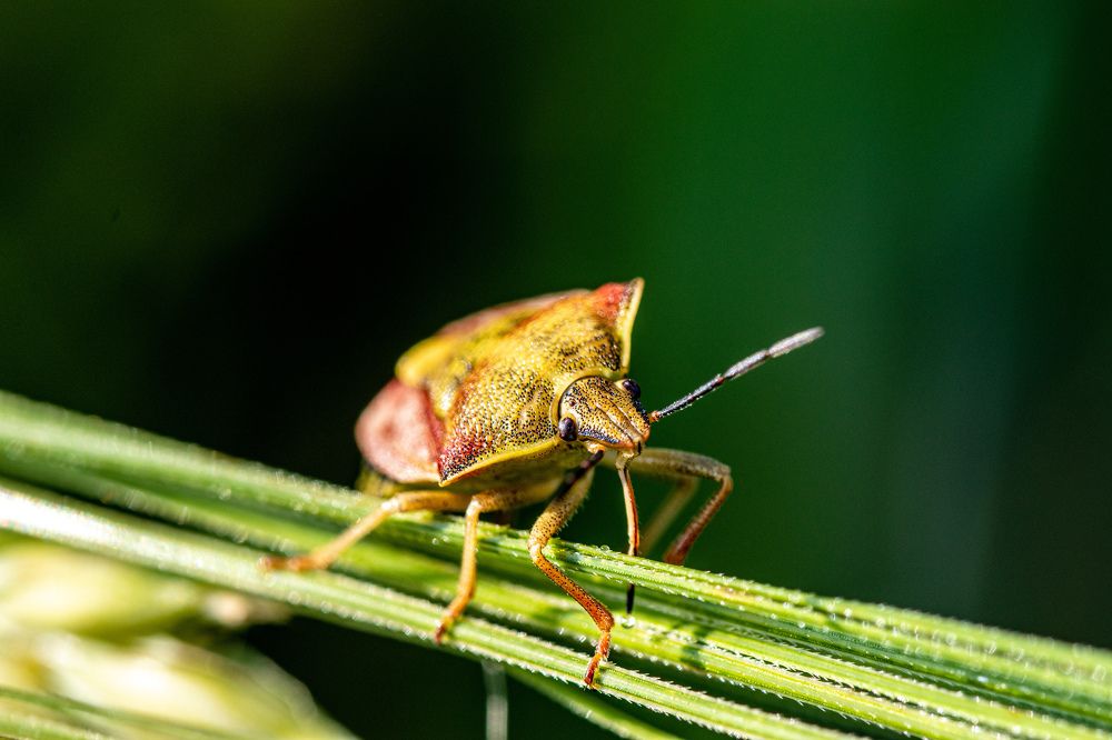 Photograph by Наталья