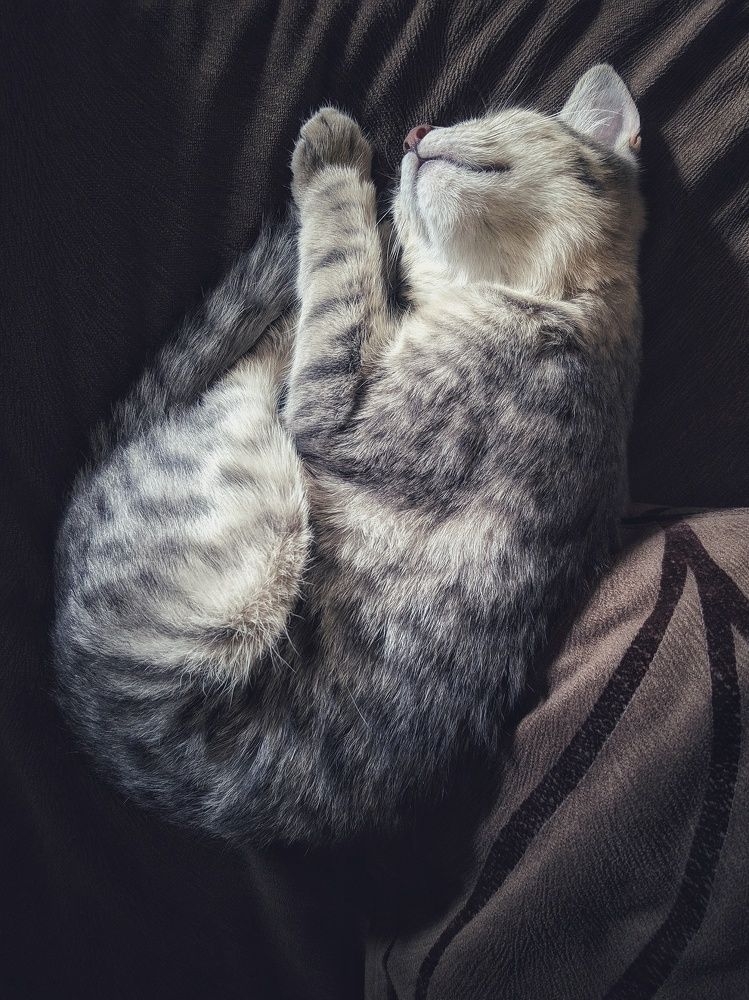 Photograph by Мгер Аршакян