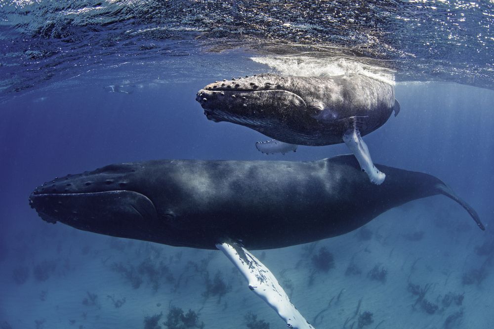 Photograph by Merche Llobera