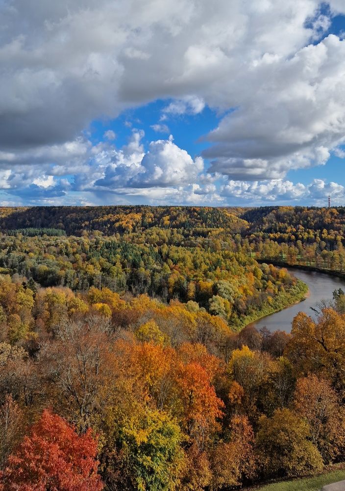 Photograph by Vera Nefedova