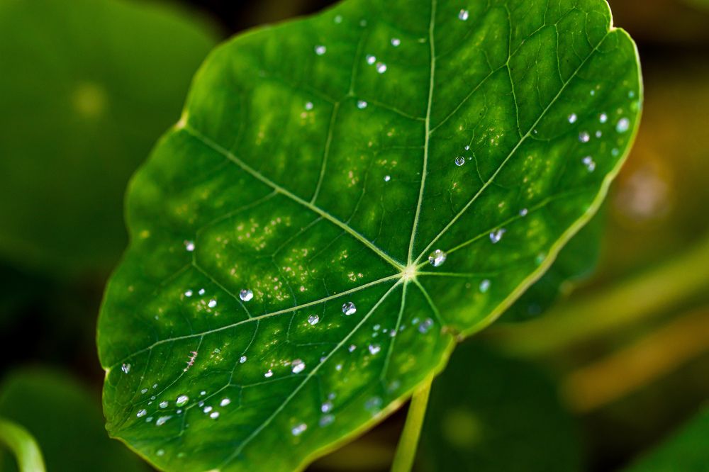 Photograph by Наталья