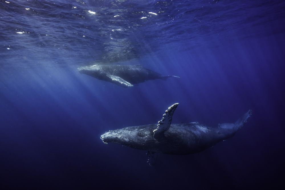 Photograph by Merche Llobera