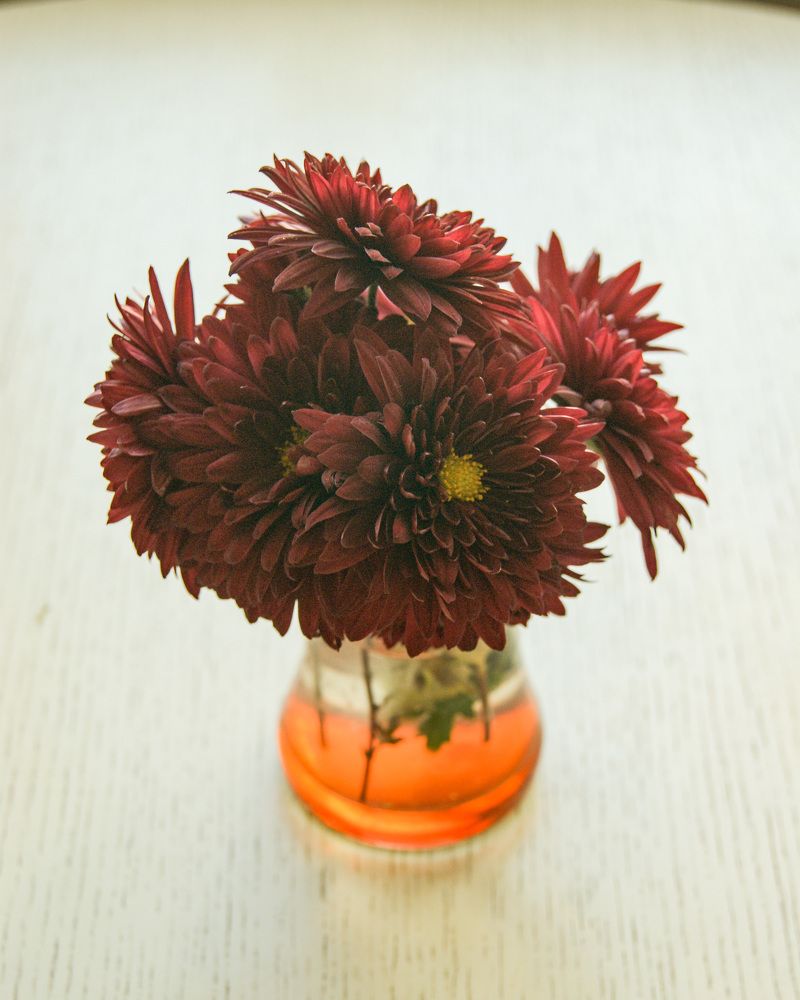 Photograph by Oksana lukyanova