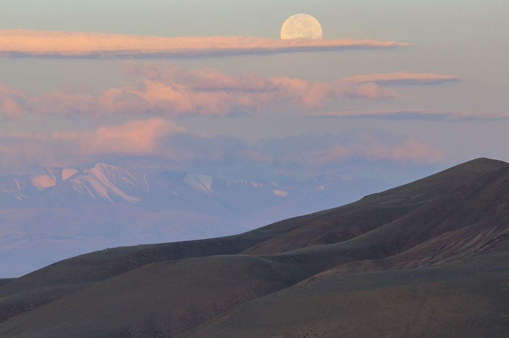 Photograph by Елена Данченко