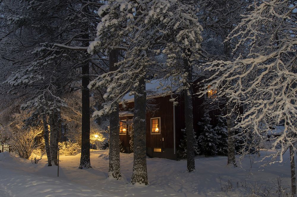 Дом для Карлсона