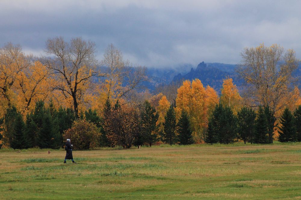 Остров  Татышев осенью