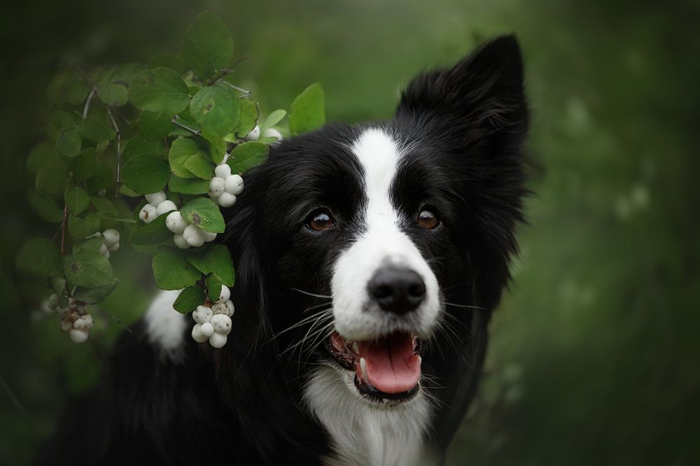 Photograph by Ольга Легенькая