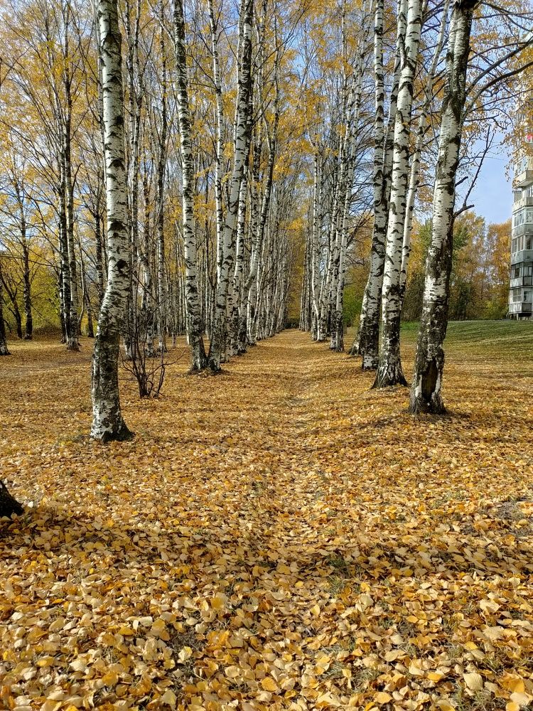 Фотография автора Светлана Смирнова