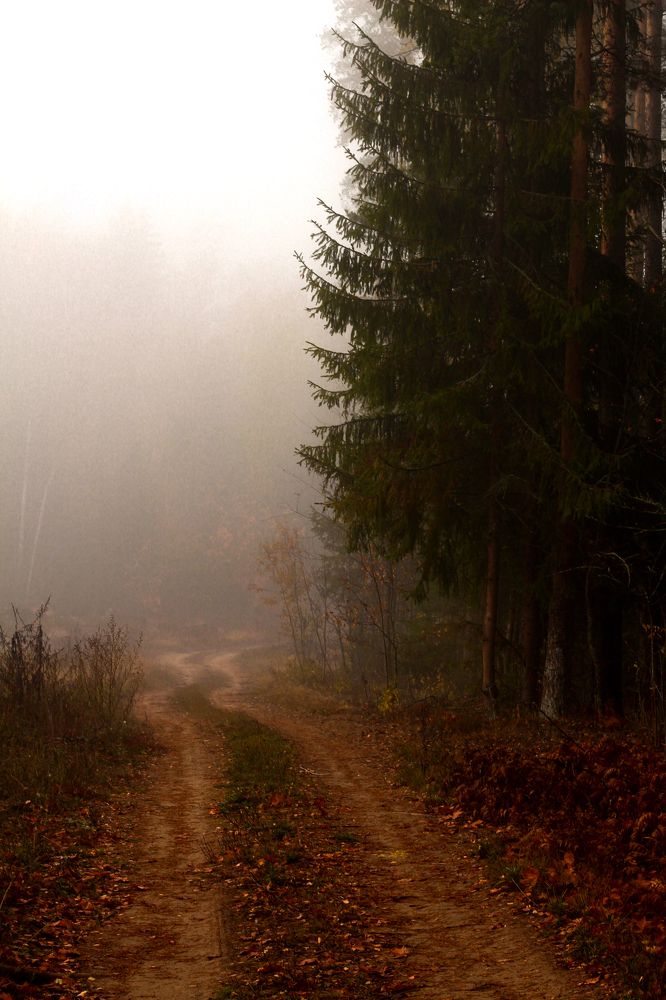 Photograph by Евгений Белов