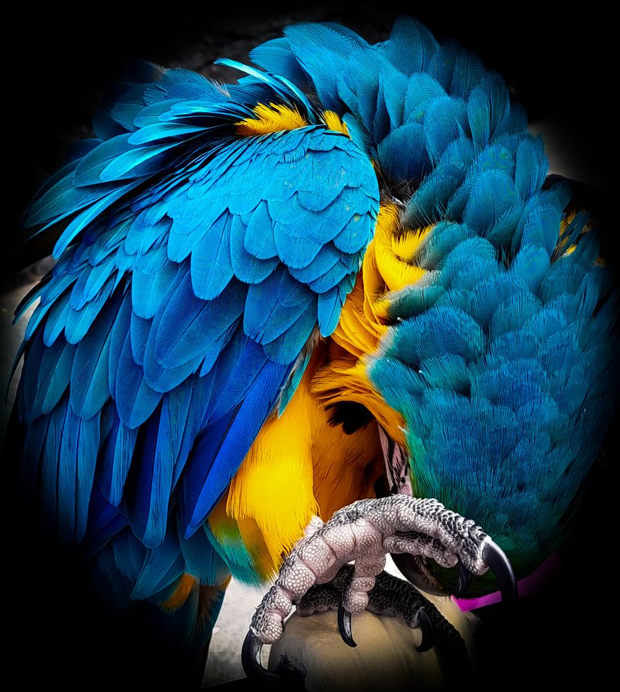 Фотография автора Michael Gault