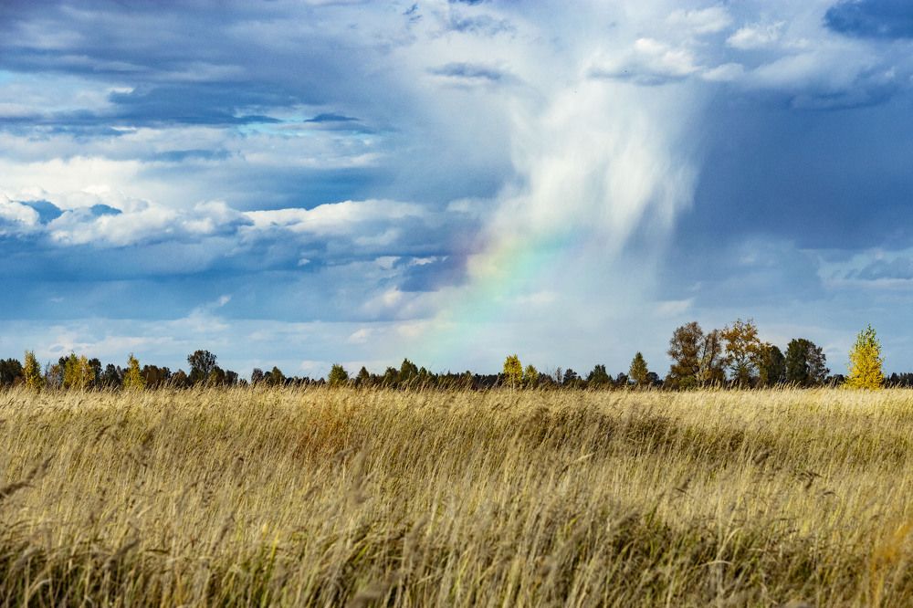 Photograph by ИРЕНА Федорова