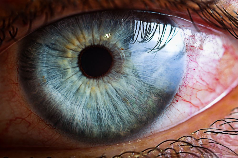 Фотография автора Reza Feizy