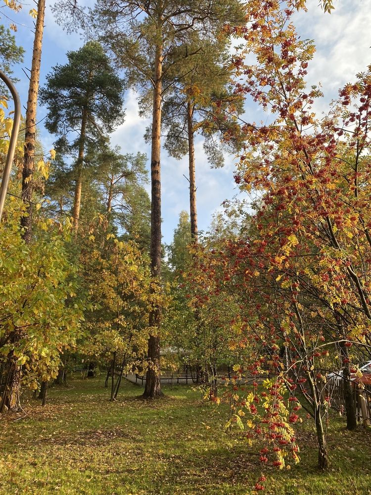 Photograph by Ольга Голубева