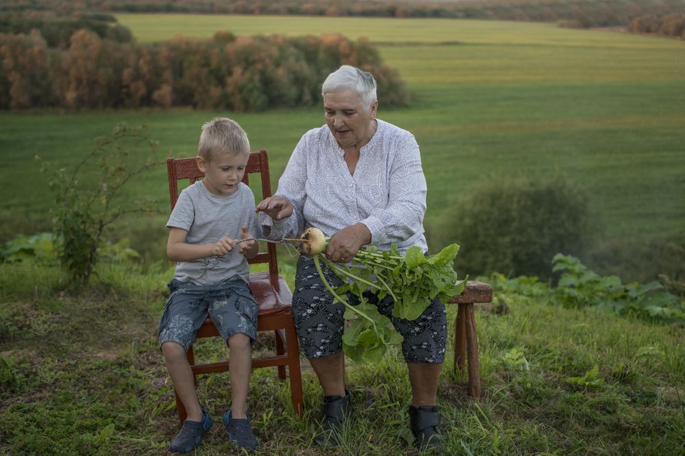 Выросла репка