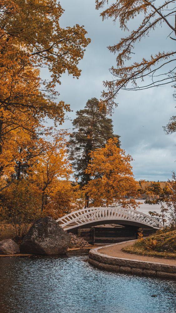 Photograph by Александр Сочнев