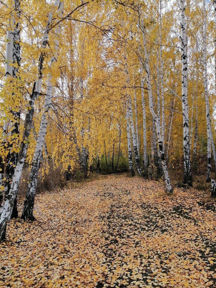 Photograph by Светлана Кудянова