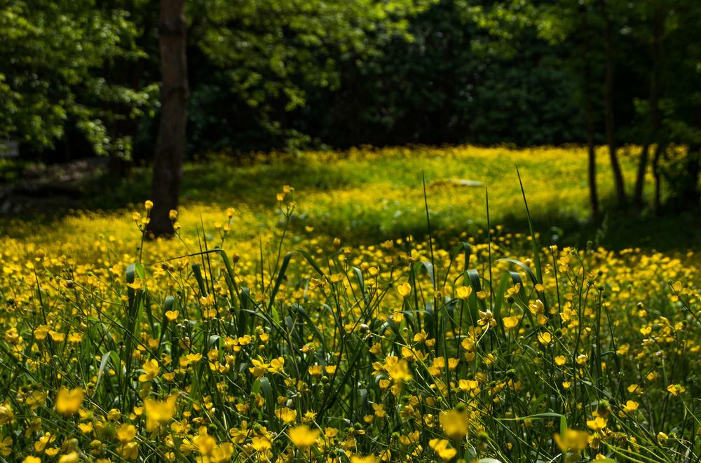 Photograph by Олег Башкуров