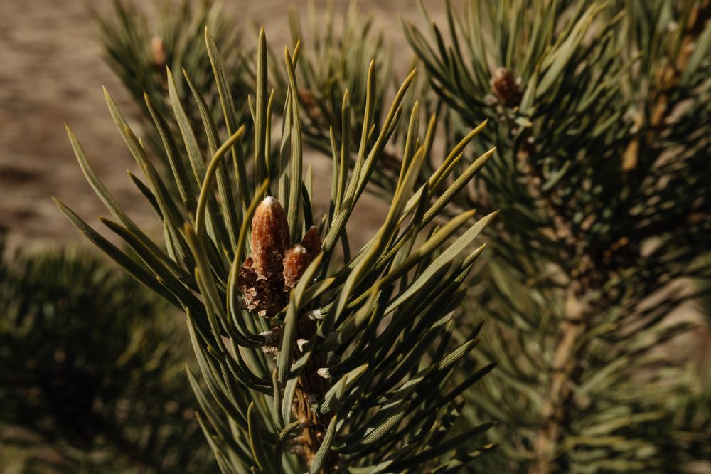 Photograph by Наталия Софич